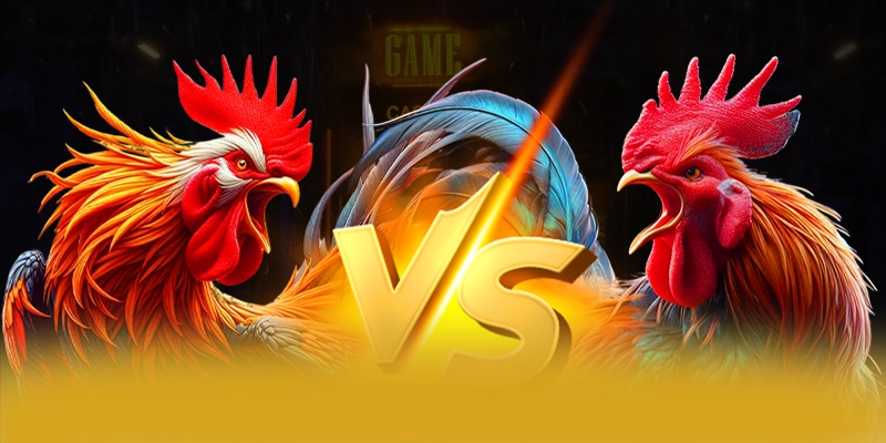 Hệ thống chăm sóc khách hàng tại 8XBET Hệ thống chăm sóc khách hàng tại 8XBET