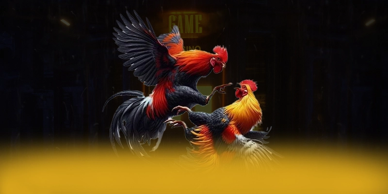 Câu hỏi thường gặp về BET168 Câu hỏi thường gặp về BET168