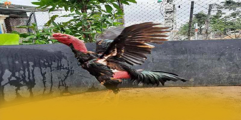An toàn thông tin người dùng tại 8XBET An toàn thông tin người dùng tại 8XBET