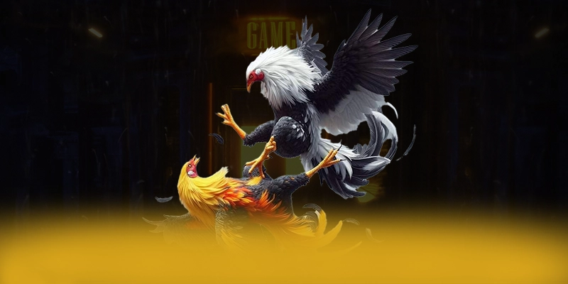 FB88 - Cổng game mượt mà số 1 Việt Nam FB88 - Cổng game mượt mà số 1 Việt Nam