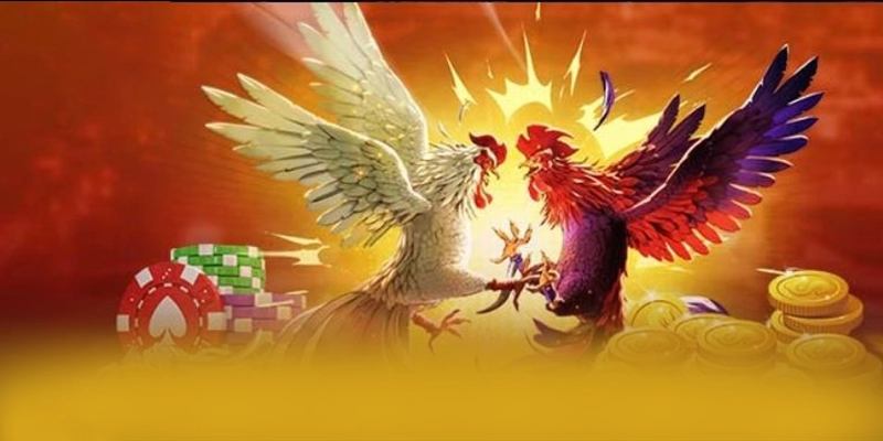 Phản hồi từ game thủ về GOOD88